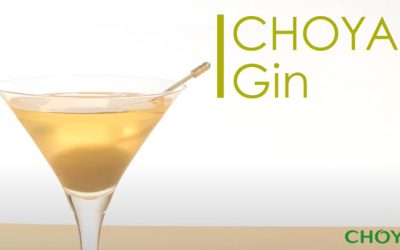 3. CHOYA rượu Gin