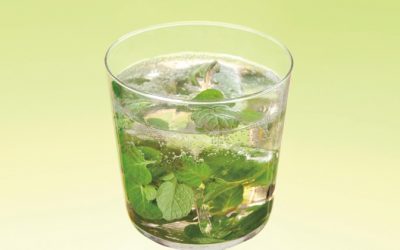 2. CHOYA Mojito